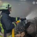 Дев’ять пожеж за добу: на Вінниччині горіли будівлі та екосистеми