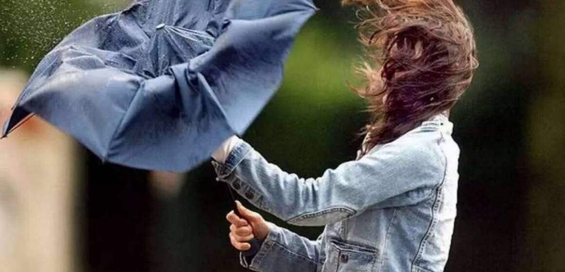 Синоптики попереджають про сильний вітер у Вінниці та області