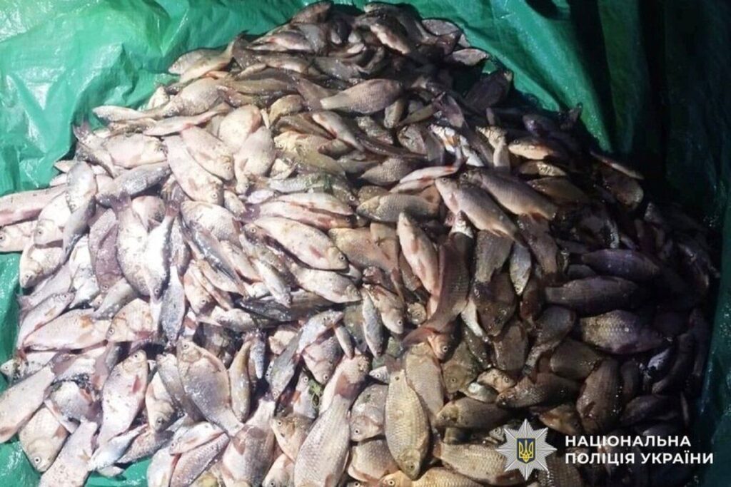 Замість улову — кримінальне провадження: на Вінниччині масово ловлять браконьєрів