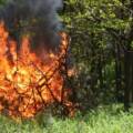 Завтра на Вінниччині прогнозують пожежну небезпеку