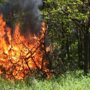 Завтра на Вінниччині прогнозують пожежну небезпеку