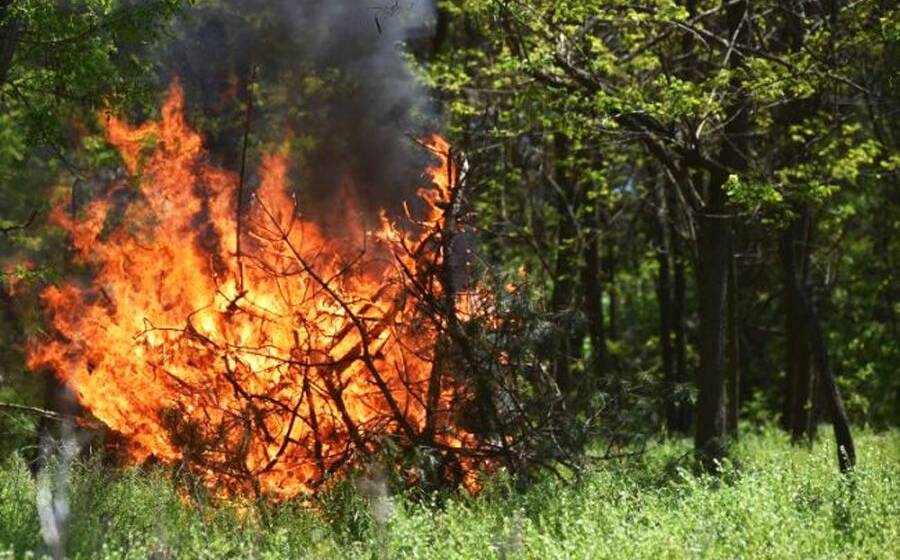 Завтра на Вінниччині прогнозують пожежну небезпеку