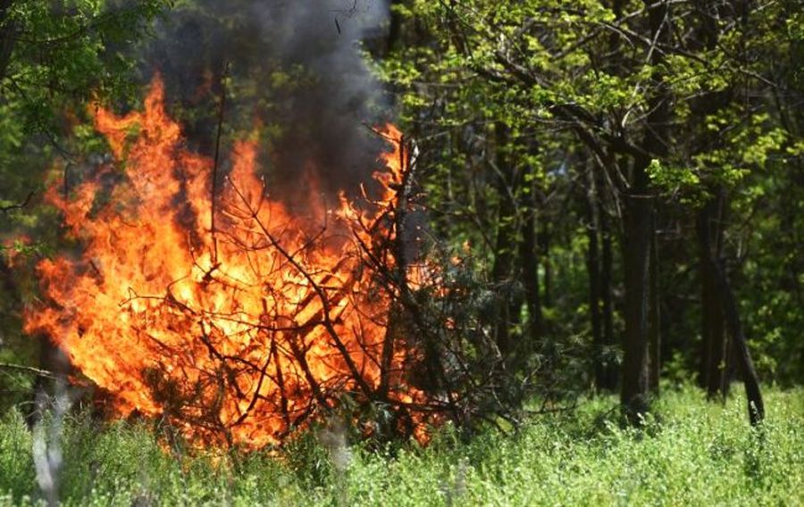 Завтра на Вінниччині прогнозують пожежну небезпеку