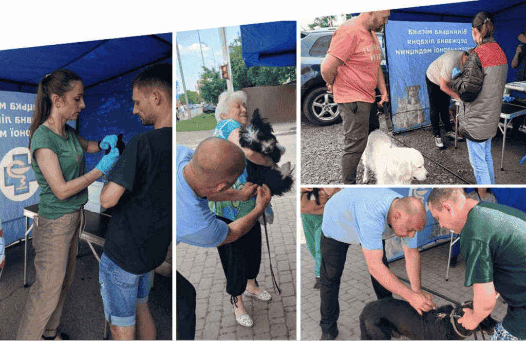У Вінниці завершилась безкоштовна вакцинація тварин: щепили понад 3 тисячі собак і котів