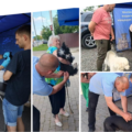 У Вінниці завершилась безкоштовна вакцинація тварин: щепили понад 3 тисячі собак і котів