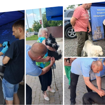 У Вінниці завершилась безкоштовна вакцинація тварин: щепили понад 3 тисячі собак і котів
