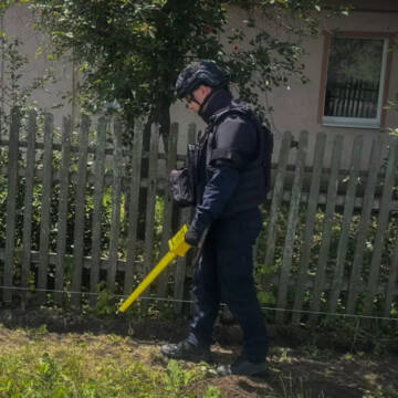 На Вінниччині люди знайшли два боєприпаси Другої світової: сапери ДСНС їх знищили