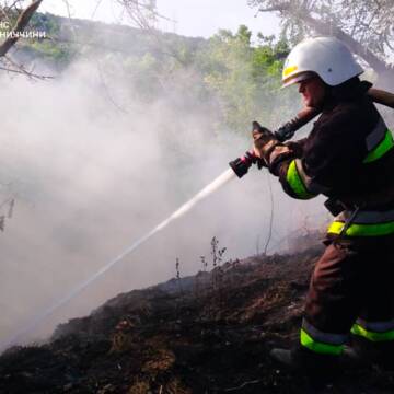 Минулої доби надзвичайники Вінниччини ліквідували 17 пожеж