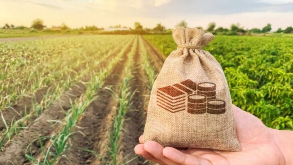 Вінниччина серед лідерів з продажу сільгоспземлі