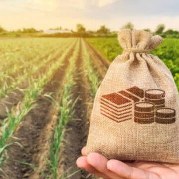 Вінниччина серед лідерів з продажу сільгоспземлі