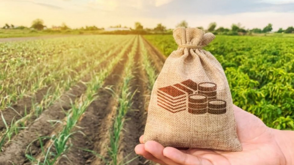 Вінниччина серед лідерів з продажу сільгоспземлі
