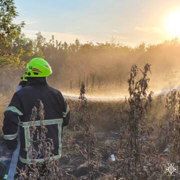 На Вінниччині за добу ліквідували 13 пожеж на відкритих територіях