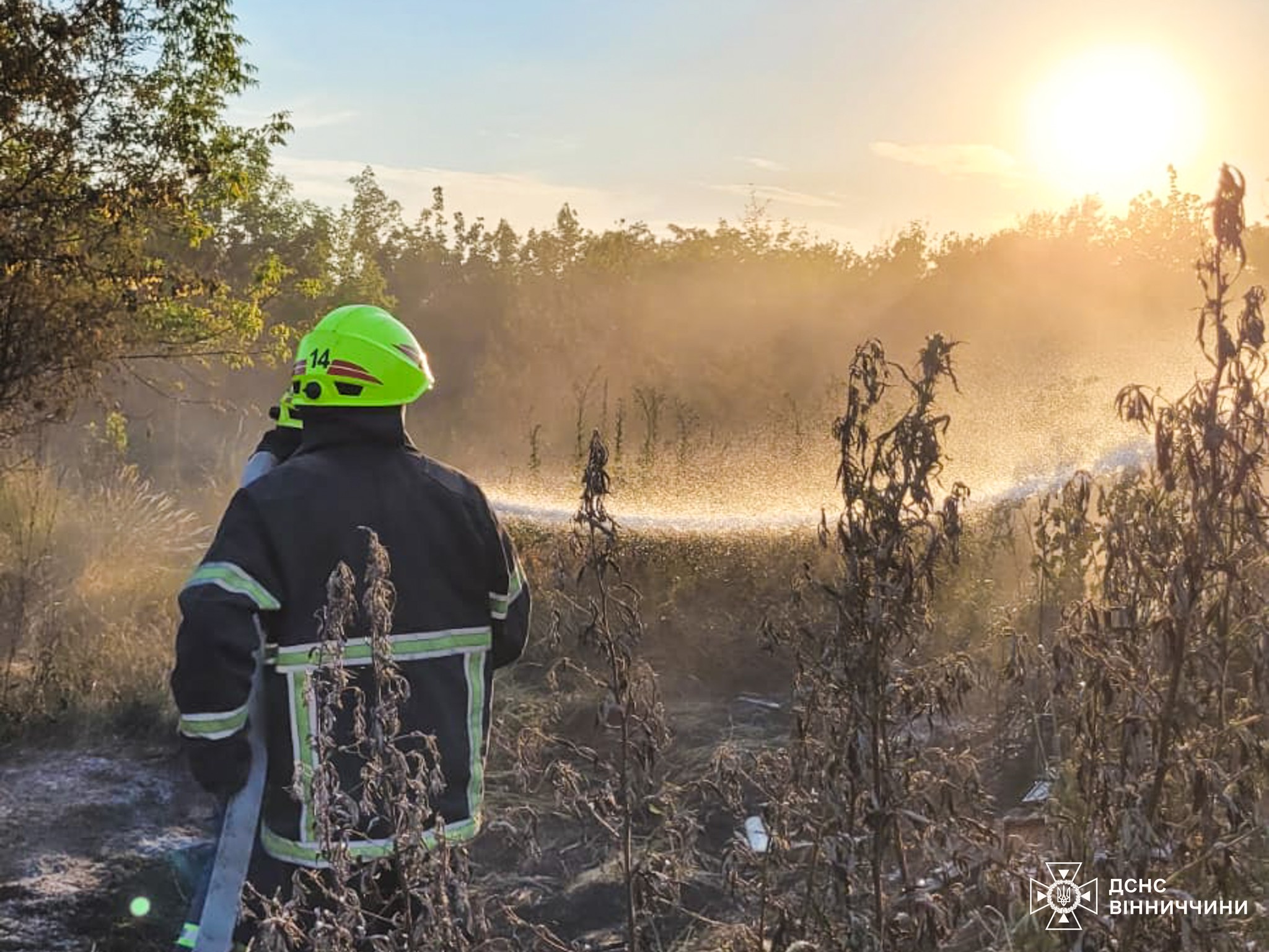 На Вінниччині за добу ліквідували 13 пожеж на відкритих територіях