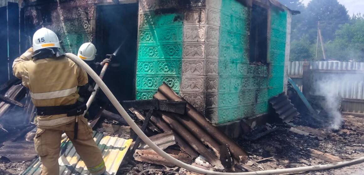 На Вінниччині за добу ліквідували 16 пожеж у приватному секторі та екосистемах