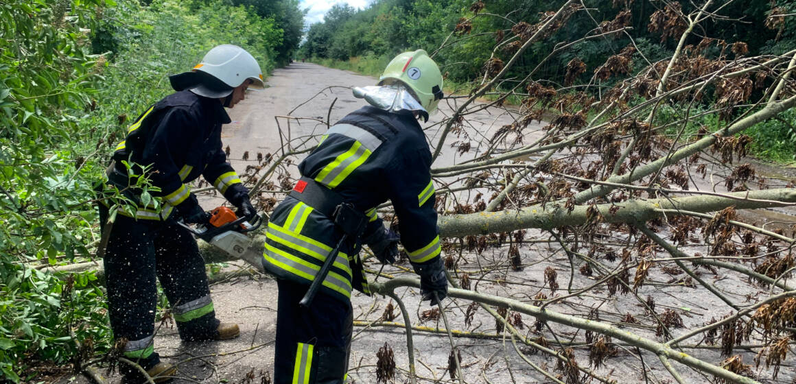 Через негоду на Вінниччині рятувальники шість разів виїжджали на розчищення автошляхів (Фото)