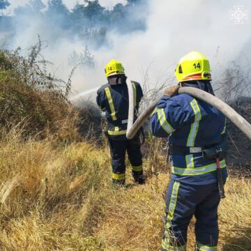 ДСНС ліквідувала 18 пожеж на Вінниччині, 15 з яких — на відкритих територіях