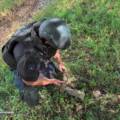 Міна біля села, снаряди на городі: на Вінниччині виявили відголоски Другої світової війни