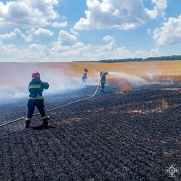 Вчасно зупинили вогонь: на Вінниччині горіло поле з пшеницею