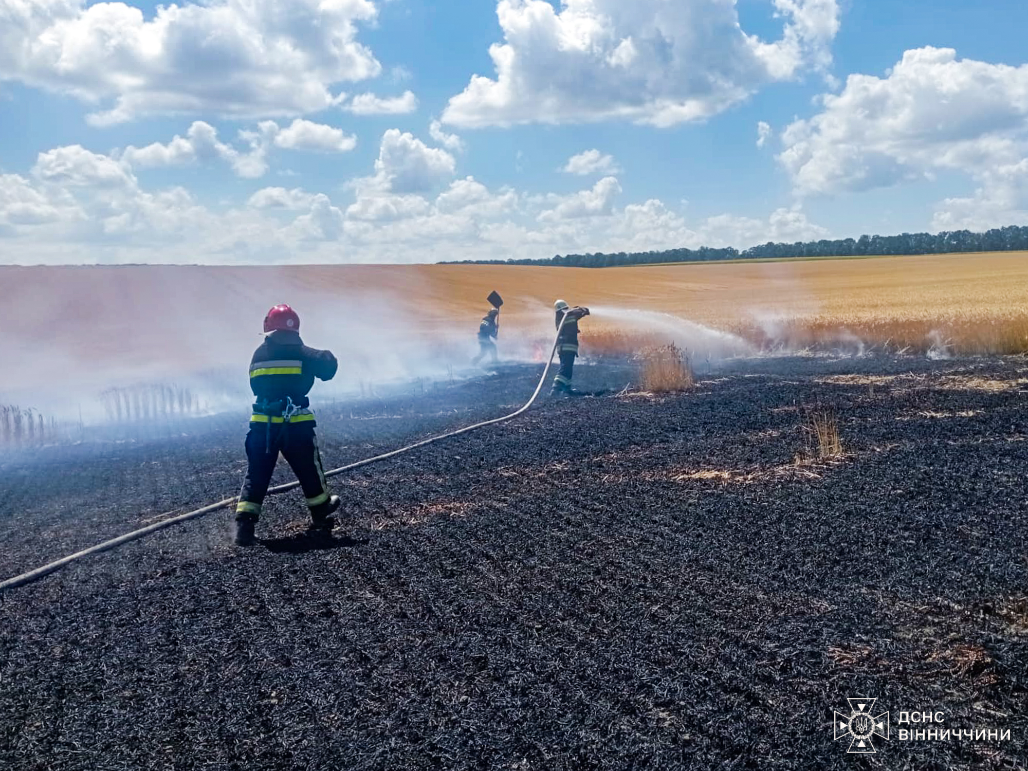Вчасно зупинили вогонь: на Вінниччині горіло поле з пшеницею