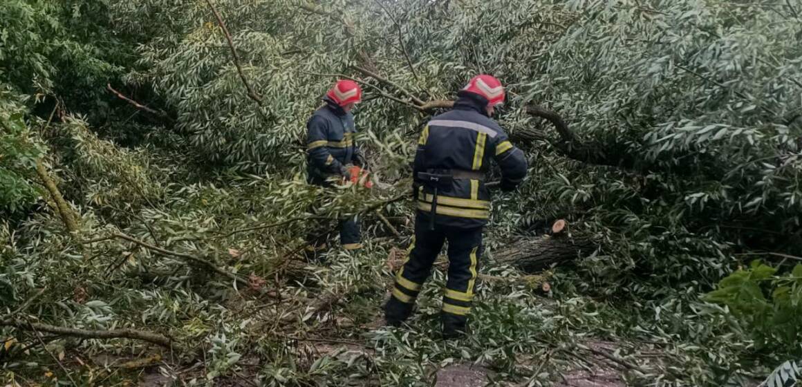 Повалені дерева перекривали дороги: рятувальники шість разів виїжджали на виклики
