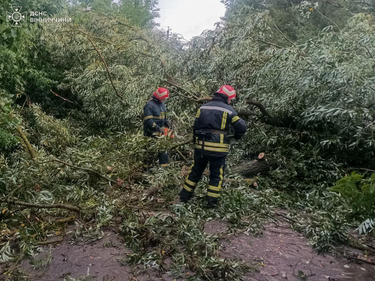 Повалені дерева перекривали дороги: рятувальники шість разів виїжджали на виклики