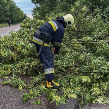 Негода на Вінниччині: рятувальники другу добу розбирають повалені дерева та прибирають підтоплення