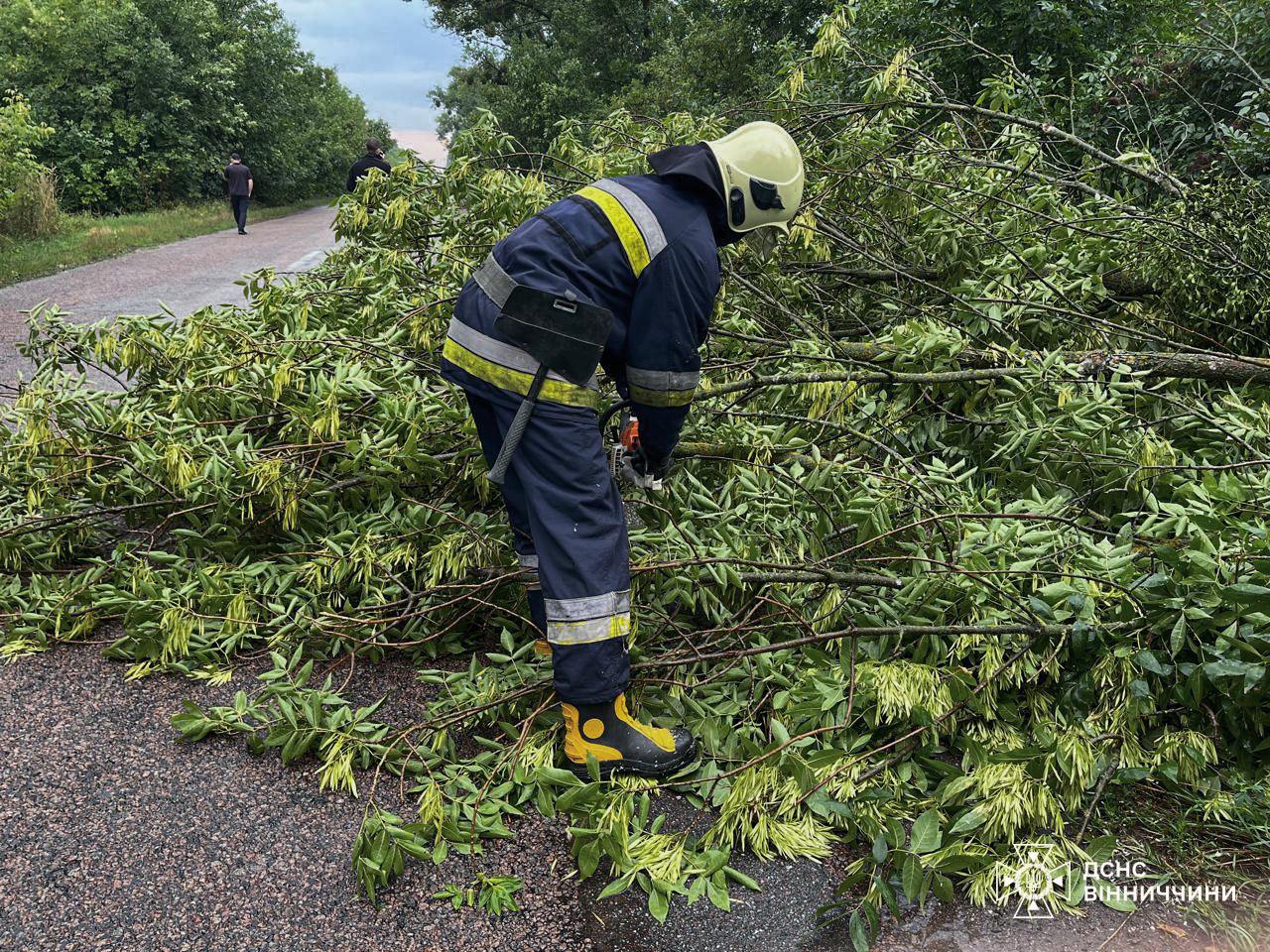 Негода на Вінниччині: рятувальники другу добу розбирають повалені дерева та прибирають підтоплення