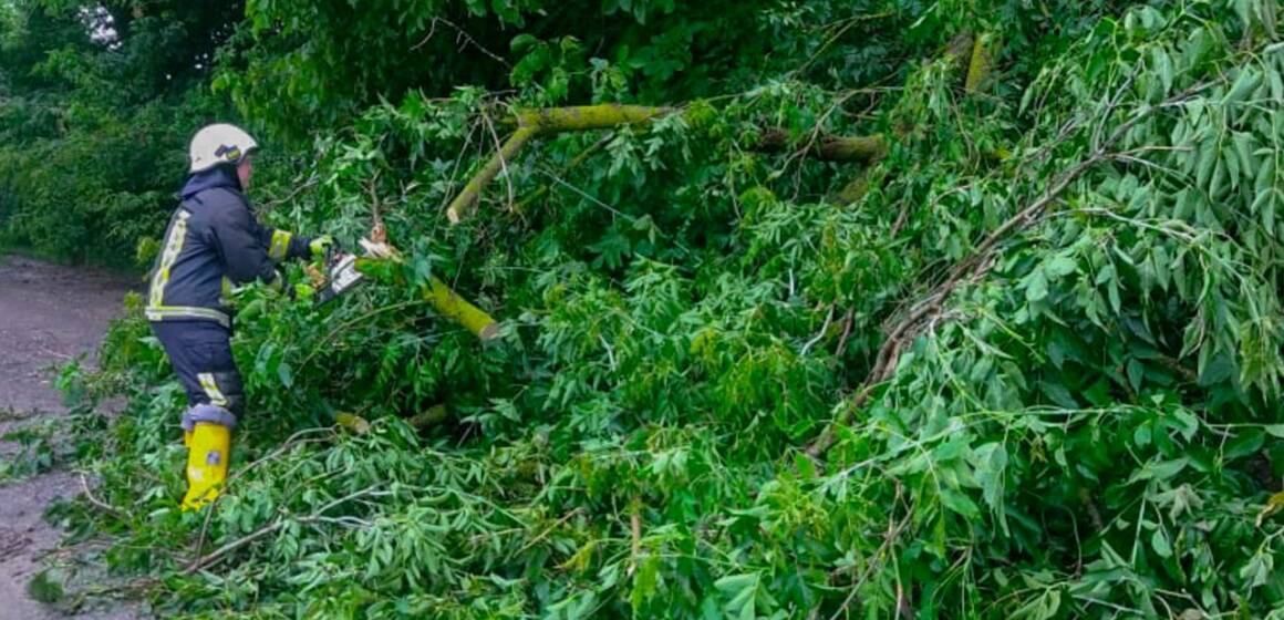 Повалені дерева та підтоплення: ДСНС ліквідовує наслідки негоди на Вінниччині