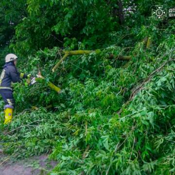 Повалені дерева та підтоплення: ДСНС ліквідовує наслідки негоди на Вінниччині