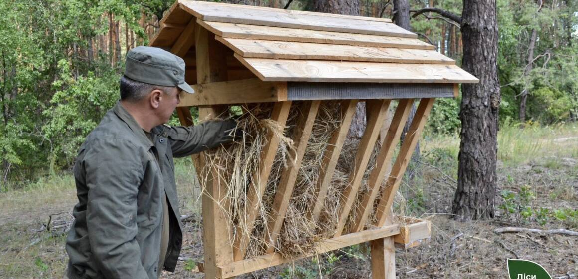 Війна та відсутність полювання вплинули на природу: у лісах Вінниччини побільшало звірів