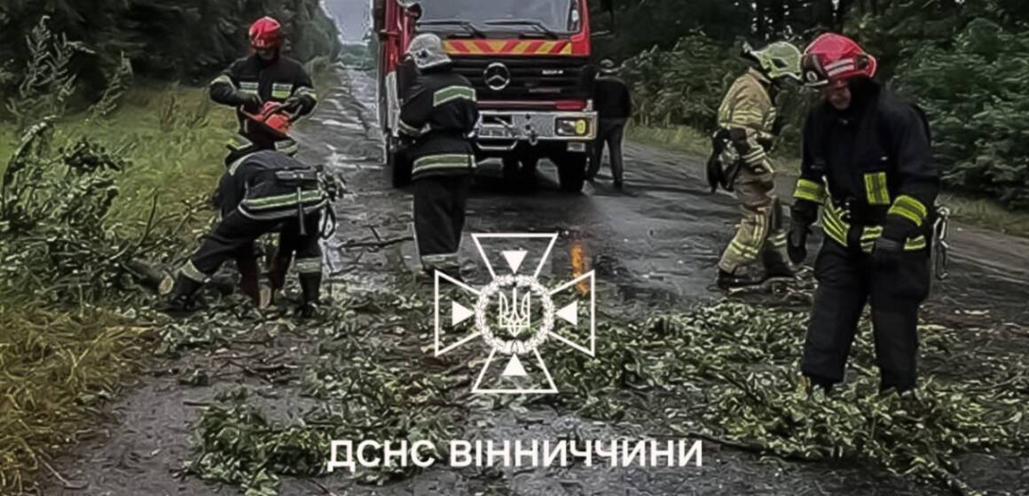 Негода на Вінниччині: буревій та злива наробили шкоди