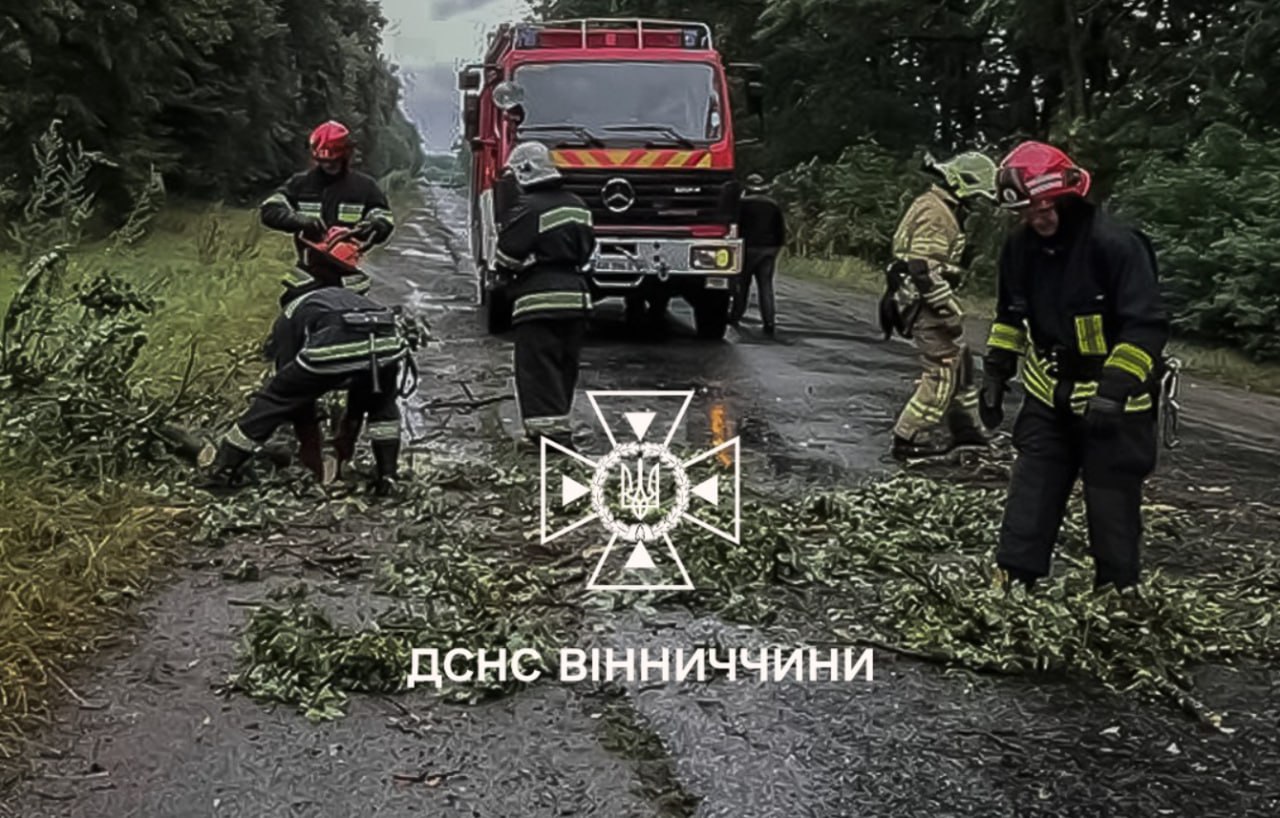 Негода на Вінниччині: буревій та злива наробили шкоди