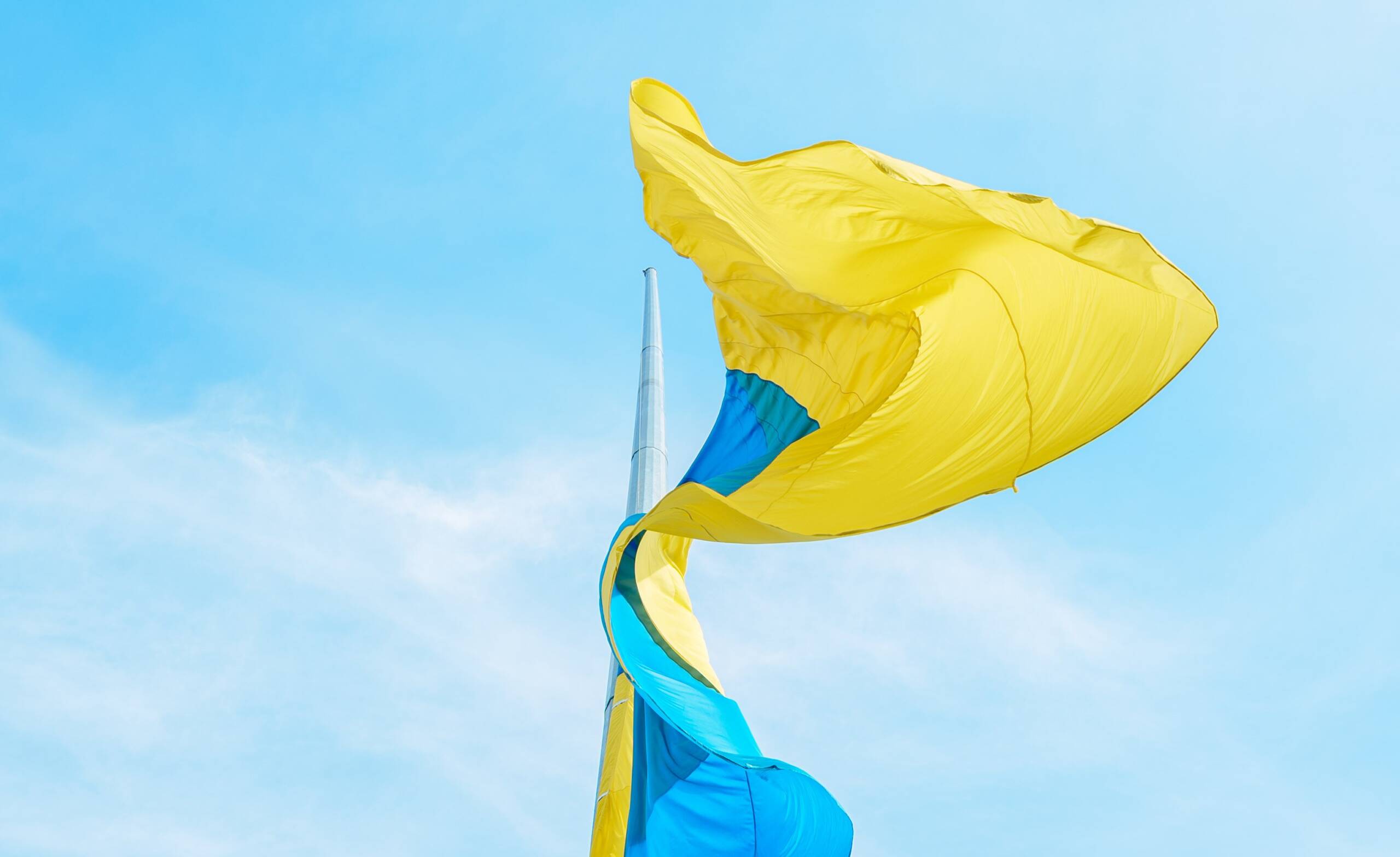 Символ єдності та сили: у Вінниці підняли прапор у День української державності
