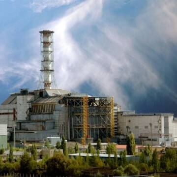 Біля ЧАЕС помітили рідкісну червонокнижну комаху (фото)