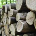 Заготівля дров до опалювального сезону: все, що треба знати жителям Вінниччини