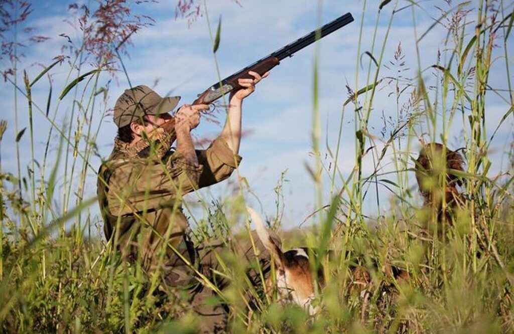 Два заказники на Вінниччині незаконно передали під мисливські угіддя