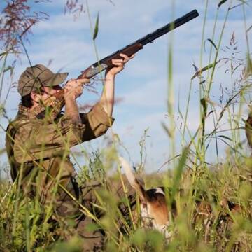Два заказники на Вінниччині незаконно передали під мисливські угіддя