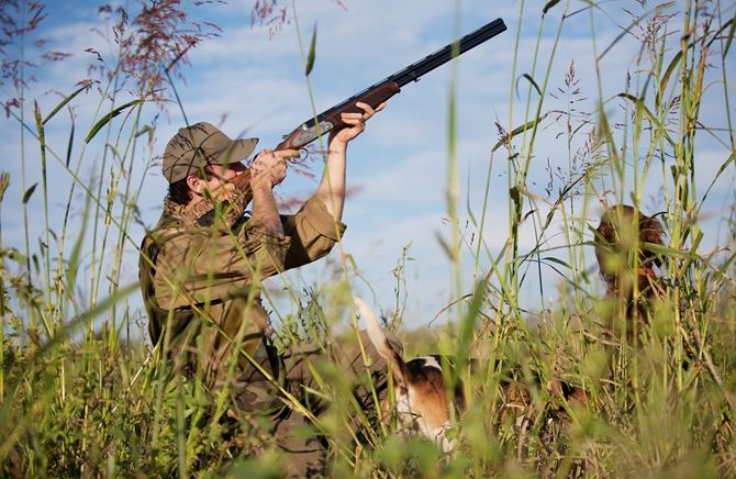 Два заказники на Вінниччині незаконно передали під мисливські угіддя