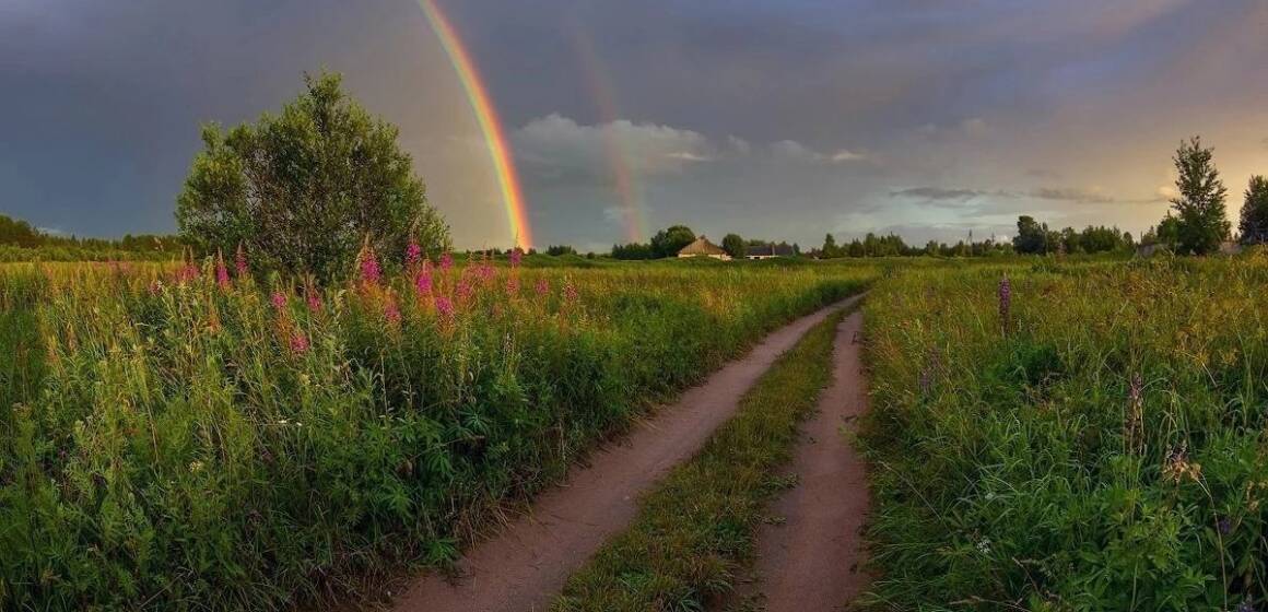 На Вінниччині синоптики прогнозують мінливу хмарність, дощ та грози.