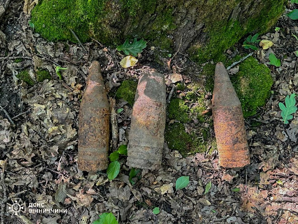 На Вінниччині знищено боєприпаси часів Другої світової війни