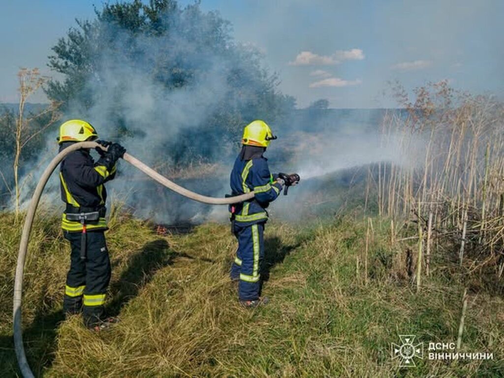 Пожежі на Вінниччині, ДСНС