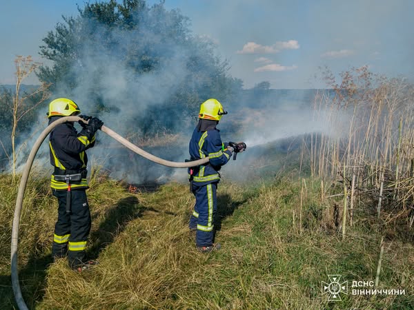 Пожежі на Вінниччині, ДСНС