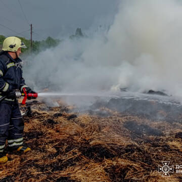 На Вінниччині вогонь знищив сухостій та стерню на площі понад 6 га