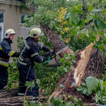 Негода на Вінниччині: рятувальники здійснили 21 виїзд за добу