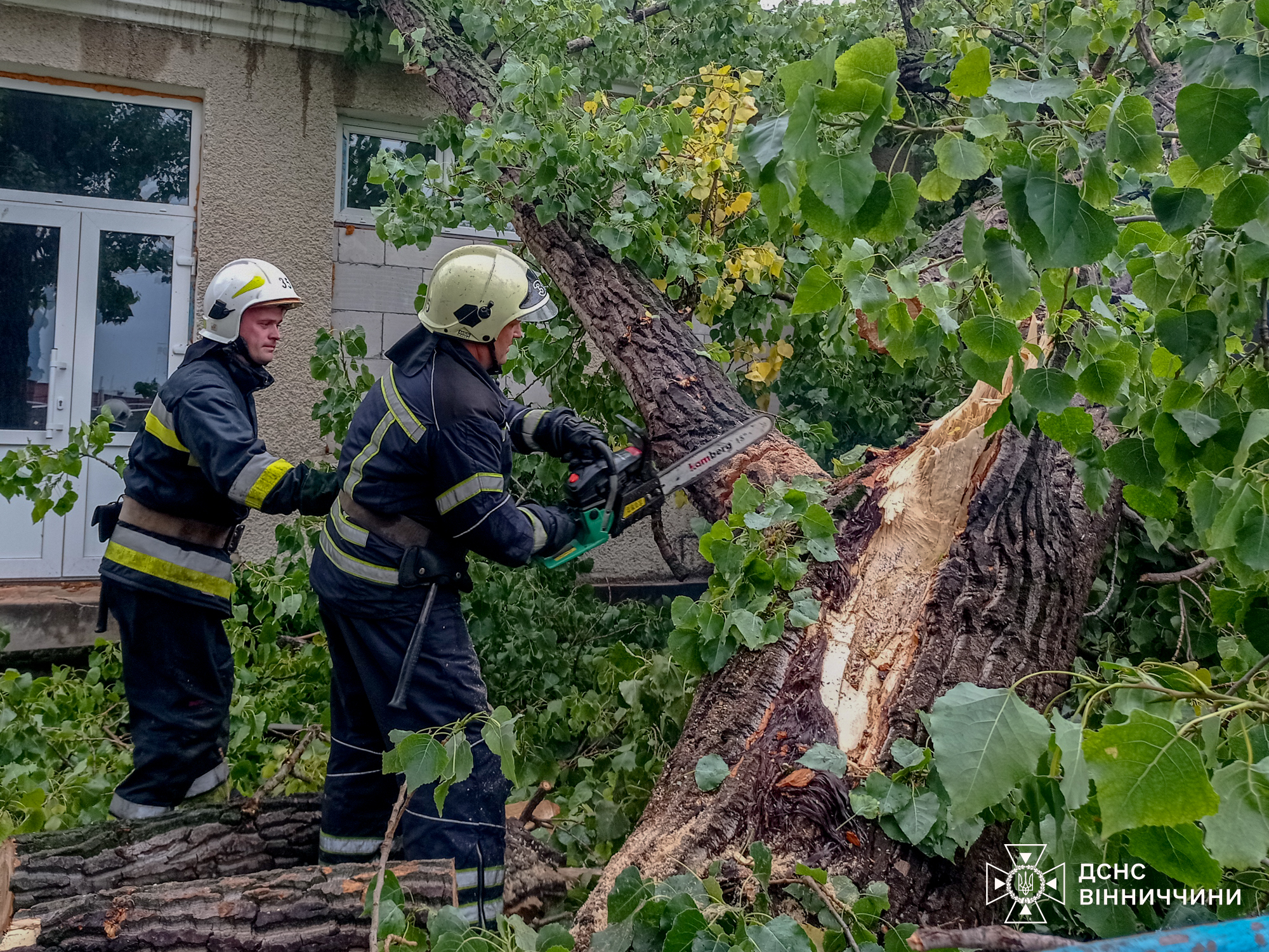 Негода на Вінниччині: рятувальники здійснили 21 виїзд за добу