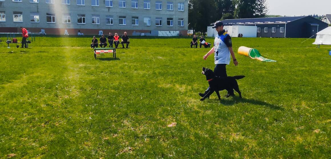 Собаки з Вінниці стали лідерами змагань