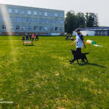 Собаки з Вінниці стали лідерами змагань