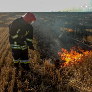 Пожежі на Вінниччині
