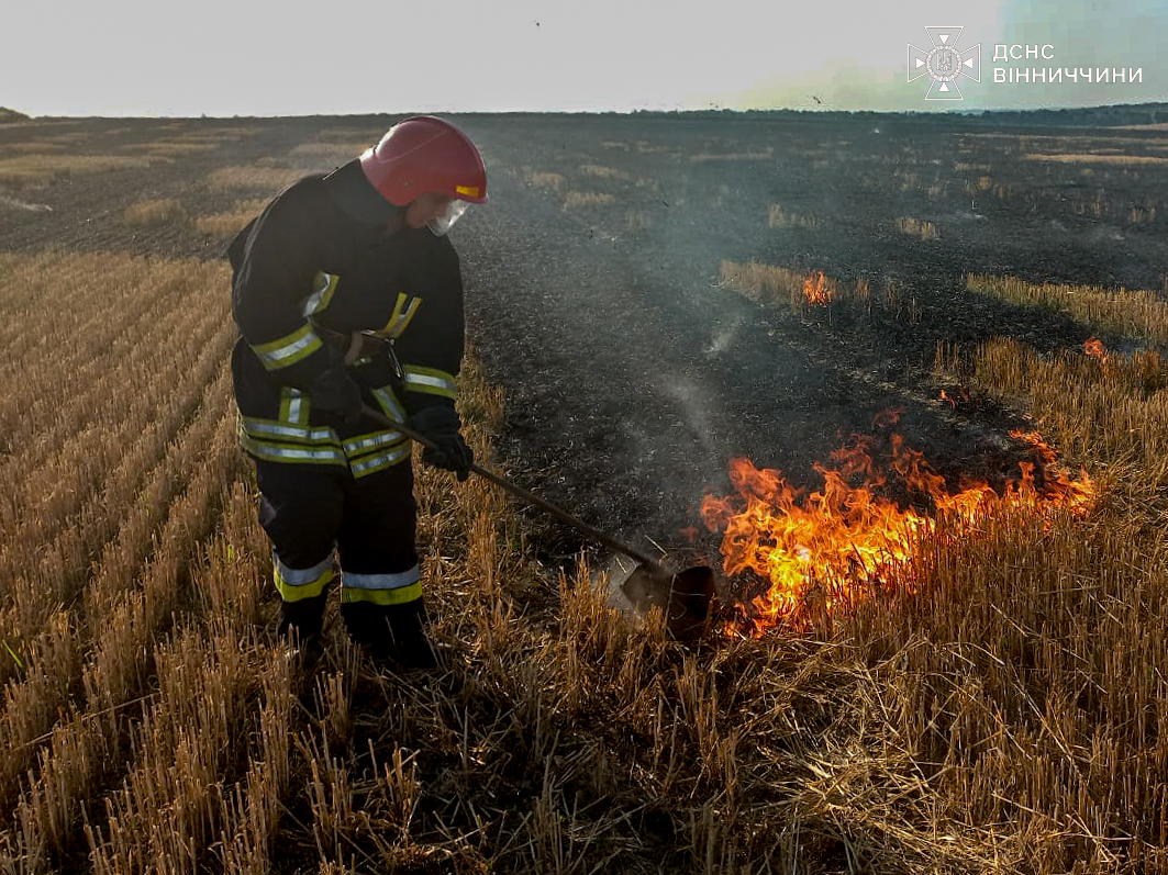 Пожежі на Вінниччині