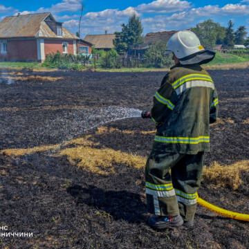Рятувальники ліквідували сім пожеж за добу: горіли суха трава й господарчі будівлі